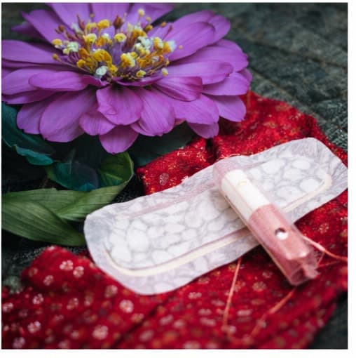 Career Exploration Fair